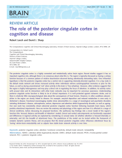 The role of the posterior cingulate cortex in