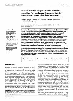 Protein burden in Zymomonas rnobilis : negative flux and growth