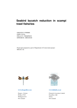 Seabird bycatch reduction in scampi trawl fisheries