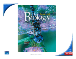 8-2 Photosynthesis