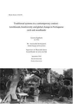 Traditional systems in a contemporary context