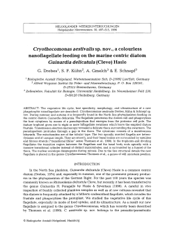 PDF - Helgoland Marine Research