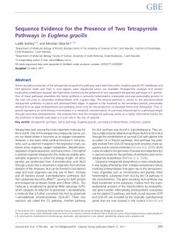 Sequence Evidence for the Presence of Two Tetrapyrrole Pathways
