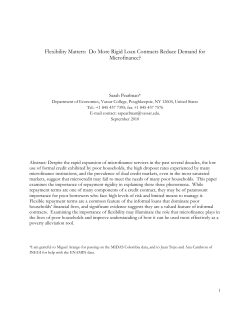 Flexibility Matters: Do More Rigid Loan Contracts Reduce Demand