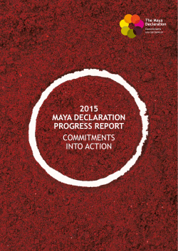 2015 maya declaration progress report commitments into action