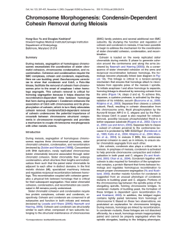 Chromosome Morphogenesis: Condensin