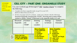 cell city &ndash; part one -organelle study