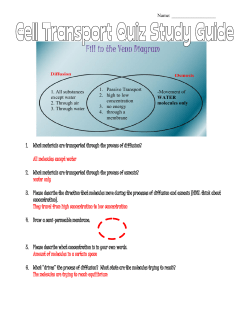1. What materials are transported through the process of diffusion