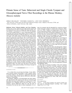 Primate Sense of Taste: Behavioral and Single Chorda Tympani and