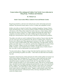 Conservation of the endangered Golden Coin Turtle Cuora
