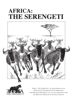 millions in the Serengeti drama.