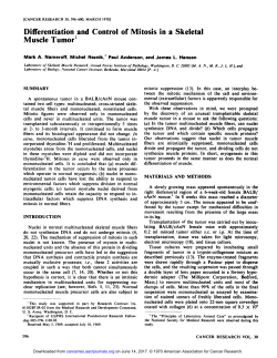 Differentiation and Control of Mitosis in a