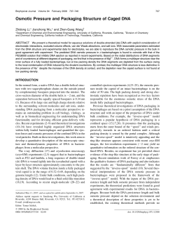 Osmotic Pressure and Packaging Structure of Caged DNA