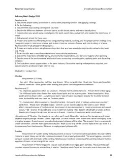 Tesomas Scout Camp Crystal Lake Scout Reservation Painting