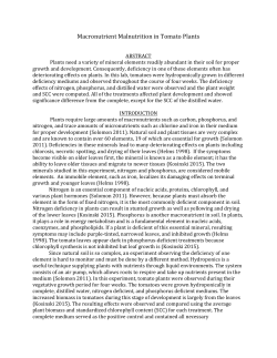Macronutrient Malnutrition in Tomato Plants