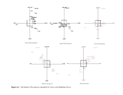 Figure 4.2 Self Identity Plot patterns identified by Norris and