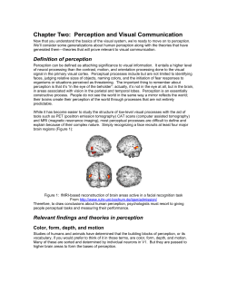 Chapter Two: Perception and Visual Communication