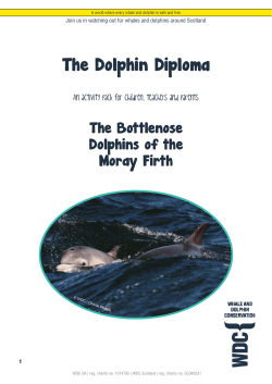 Scot Activity pack_rebrand.indd - Whale and Dolphin Conservation