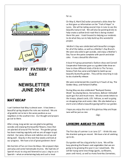 the Newsletter