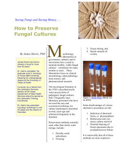 How to Save Fungal Cultures