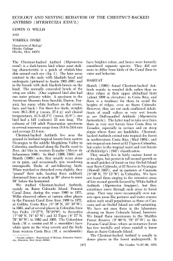 Ecology and Nesting Behavior of the Chestnut