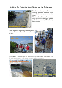 Activities for Protecting Bountiful Sea and the Environment