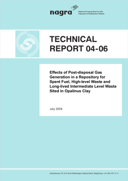 technical report 04-06