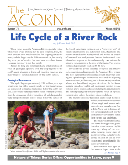 Life Cycle of a River Rock