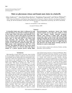 Male sex pheromone release and female mate choice in a butterfly
