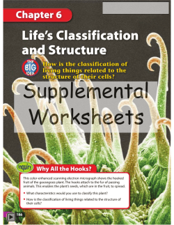 06 Life`s Classification and Structure