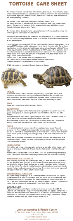 tortoise care sheet