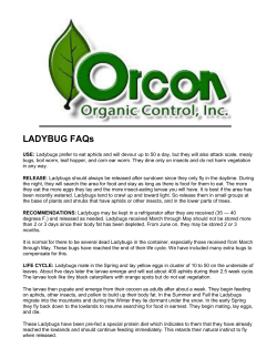 LADYBUG FAQs - Gulley Greenhouse