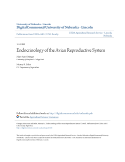 Endocrinology of the Avian Reproductive System