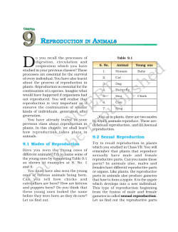 Chapter 9 - REPRODUCTIION IIN ANIIMALS