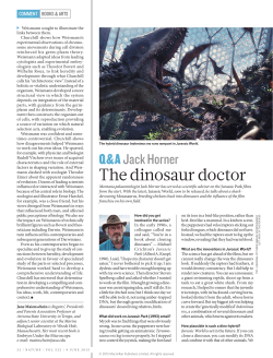 The dinosaur doctor