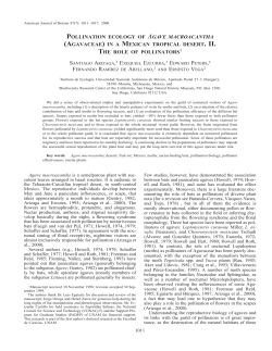 POLLINATION ECOLOGY OF AGAVE MACROACANTHA