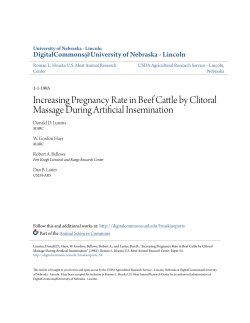 Increasing Pregnancy Rate in Beef Cattle by Clitoral Massage