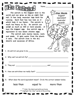 Star Words biggest equivalent muscular pounds The ostrich is the