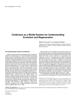 Cnidarians as a Model System for Understanding Evolution and