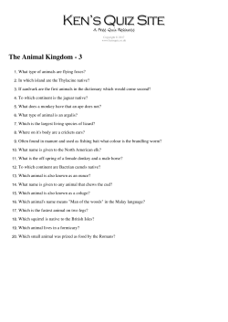 The Animal Kingdom