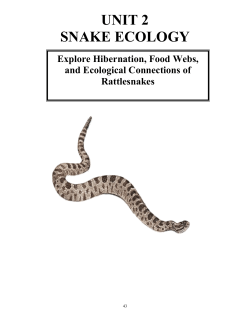 unit 2 snake ecology