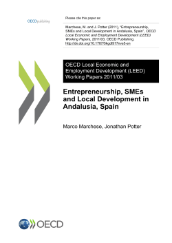 Entrepreneurship, SMEs and Local Development in Andalusia, Spain