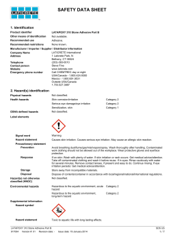 LATAPOXY 310 Stone Adhesive Part B-SDS