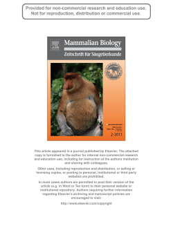 Author`s personal copy - Bottlenose Dolphin Research Institute