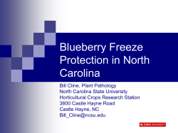 Blueberry Freeze Protection - CE Tulare