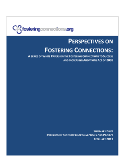 Perspectives on Fostering Connections