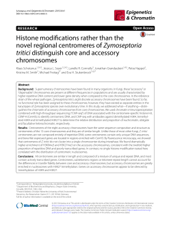 Histone modifications rather than the novel regional centromeres of