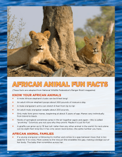 AfricAn AnimAl fUn fAcTS - climateclassroomkids.org