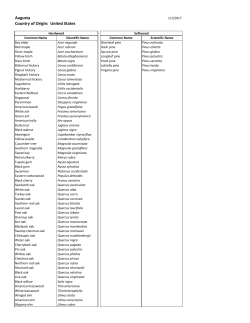Augusta Country of Origin: United States