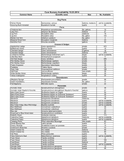 Cure Nursery Availability 10.23.2014